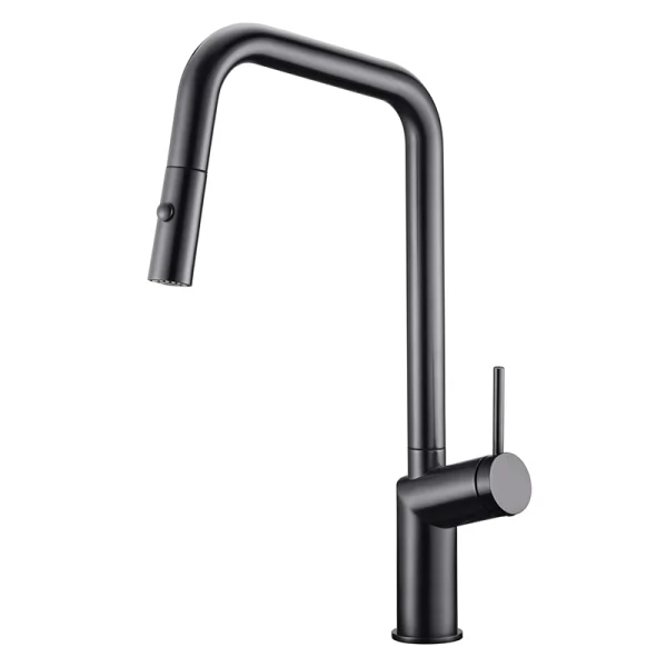 Grifo de Cocina Bonn Negro Imex