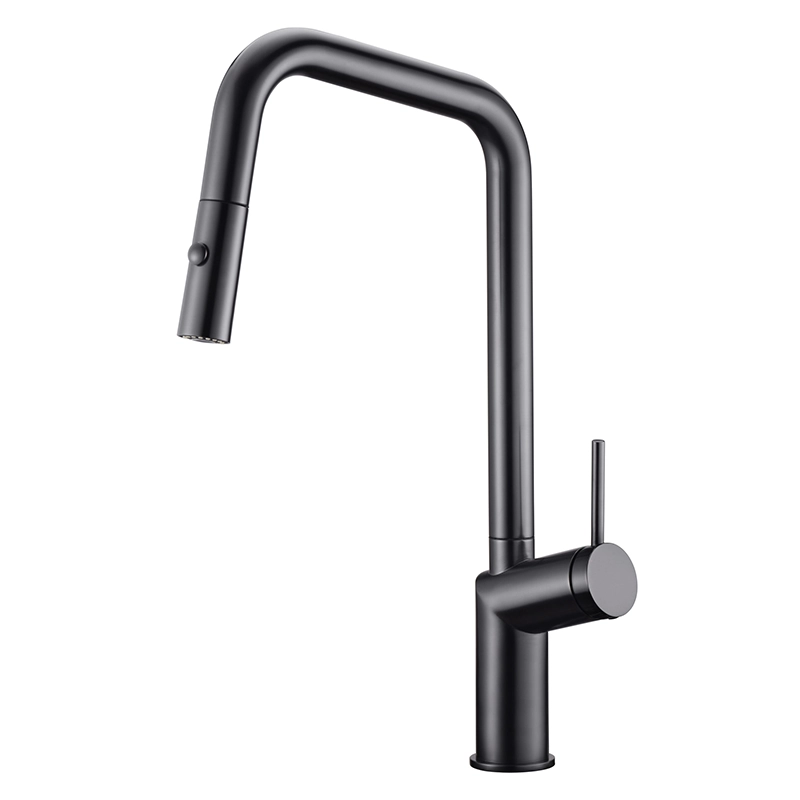 Grifo de Cocina Bonn Negro Imex
